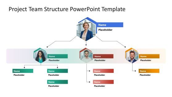 Editable Project Team Structure Template PPT Layout 