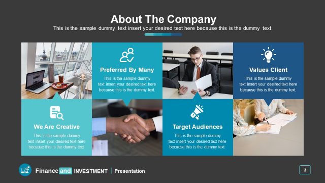 About the Company Profile PowerPoint